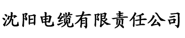 日韩黄片影院在线观看电缆厂logo